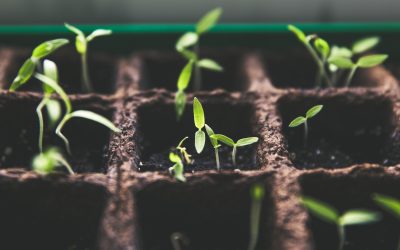 Creating a Culture of Generosity offered by The Mississippi United Methodist Foundation