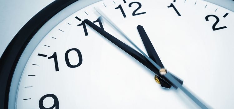 Fall Stewardship Plans