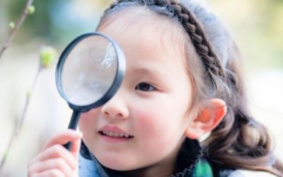 Cast a Vision for Giving in 2019