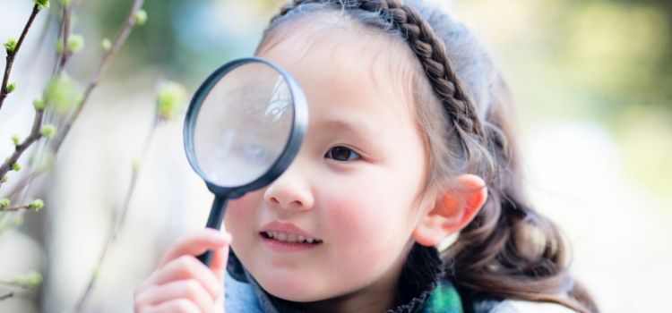 Cast a Vision for Giving in 2019