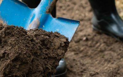 Digging In Step Three