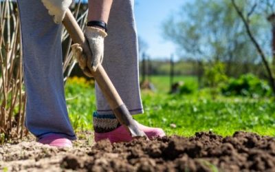 Digging In Step Four