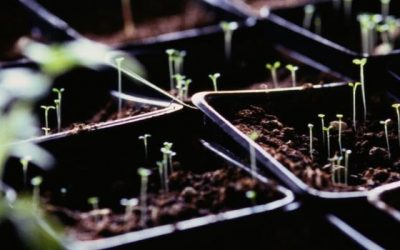 Digging In Step Five