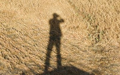 Digging In Step Eight