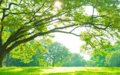 Thoughts as We Approach General Conference 2020