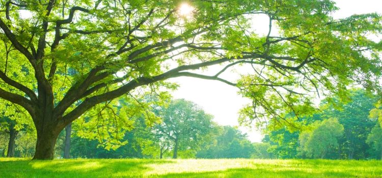 Thoughts as We Approach General Conference 2020