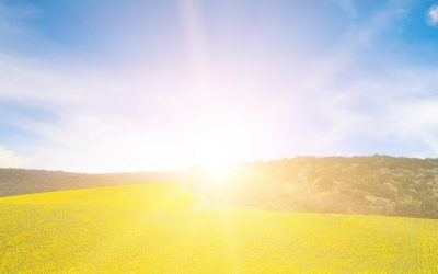 What Was Tax Day And Gardens