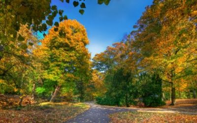 Fall Stewardship Resource