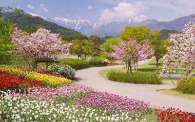 A Pause That Refreshes