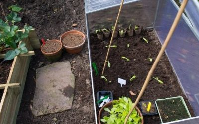 Changing and Staying the Same