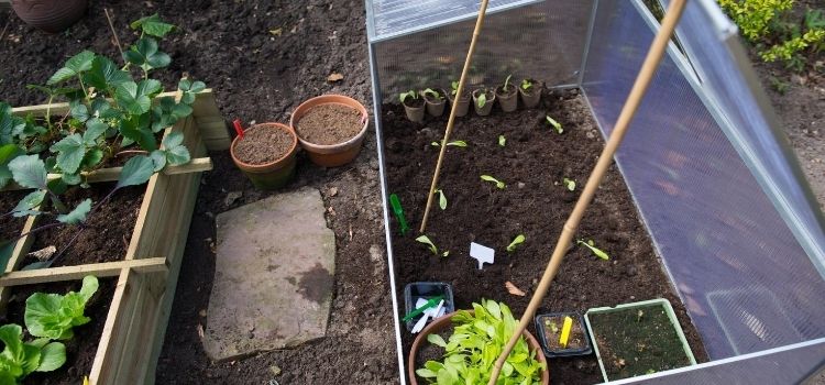 Changing and Staying the Same