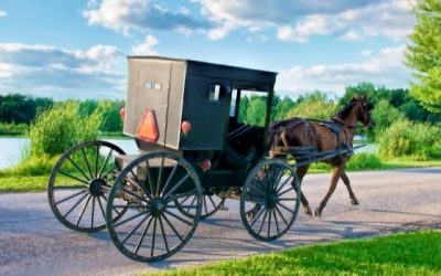 Learning Through Travel