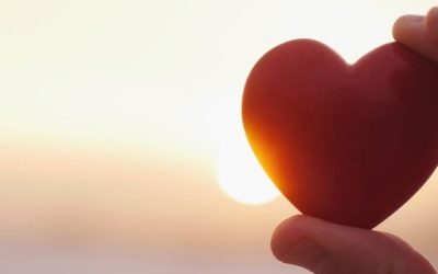 The Heart of Compassion