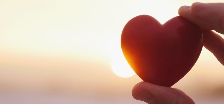 The Heart of Compassion