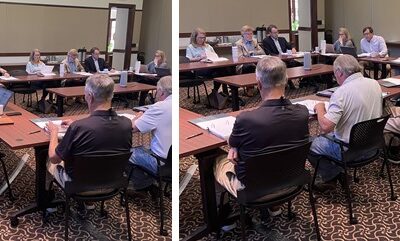 MFM Takes a Day for Learning