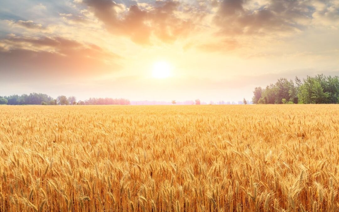 The Power of Endowments