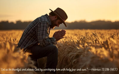 Grateful for the Harvest